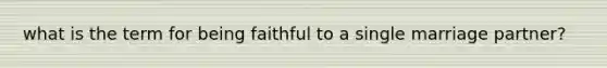 what is the term for being faithful to a single marriage partner?