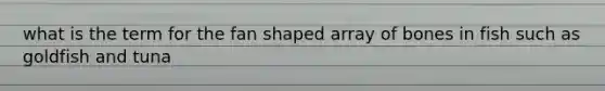 what is the term for the fan shaped array of bones in fish such as goldfish and tuna