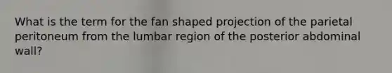 What is the term for the fan shaped projection of the parietal peritoneum from the lumbar region of the posterior abdominal wall?