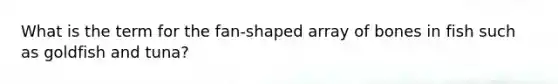 What is the term for the fan-shaped array of bones in fish such as goldfish and tuna?