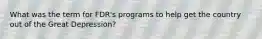 What was the term for FDR's programs to help get the country out of the Great Depression?