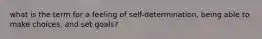 what is the term for a feeling of self-determination, being able to make choices, and set goals?