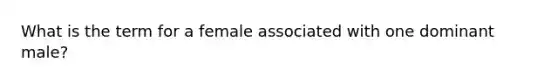 What is the term for a female associated with one dominant male?