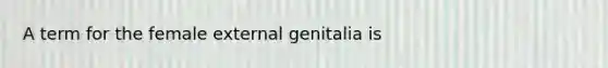 A term for the female external genitalia is