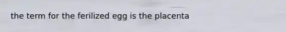 the term for the ferilized egg is the placenta