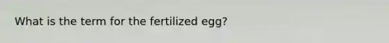 What is the term for the fertilized egg?