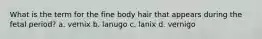 What is the term for the fine body hair that appears during the fetal period? a. vernix b. lanugo c. lanix d. vernigo