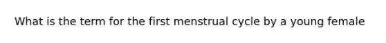 What is the term for the first menstrual cycle by a young female