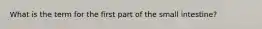 What is the term for the first part of the small intestine?