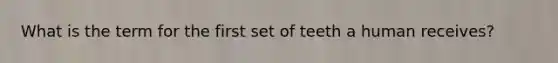 What is the term for the first set of teeth a human receives?