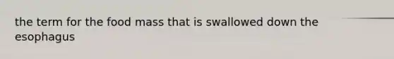 the term for the food mass that is swallowed down the esophagus