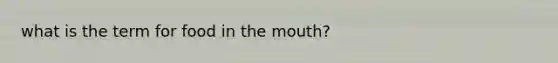 what is the term for food in <a href='https://www.questionai.com/knowledge/krBoWYDU6j-the-mouth' class='anchor-knowledge'>the mouth</a>?