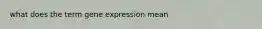 what does the term gene expression mean