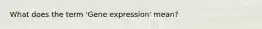 What does the term 'Gene expression' mean?