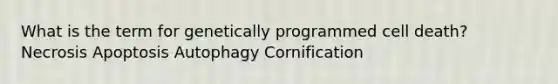 What is the term for genetically programmed cell death? Necrosis Apoptosis Autophagy Cornification