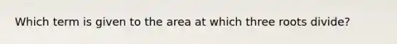 Which term is given to the area at which three roots divide?