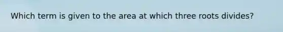 Which term is given to the area at which three roots divides?