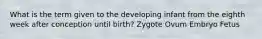 What is the term given to the developing infant from the eighth week after conception until birth? Zygote Ovum Embryo Fetus