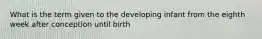 What is the term given to the developing infant from the eighth week after conception until birth