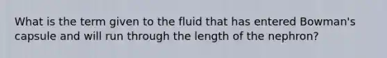 What is the term given to the fluid that has entered Bowman's capsule and will run through the length of the nephron?