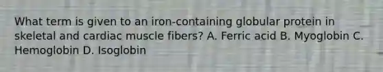 What term is given to an iron-containing globular protein in skeletal and cardiac muscle fibers? A. Ferric acid B. Myoglobin C. Hemoglobin D. Isoglobin