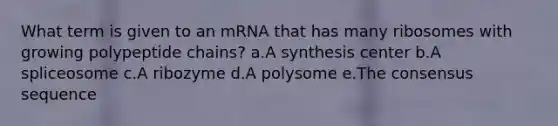 What term is given to an mRNA that has many ribosomes with growing polypeptide chains? a.A synthesis center b.A spliceosome c.A ribozyme d.A polysome e.The consensus sequence