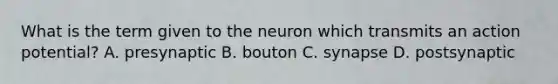 What is the term given to the neuron which transmits an action potential? A. presynaptic B. bouton C. synapse D. postsynaptic