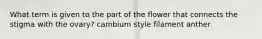 What term is given to the part of the flower that connects the stigma with the ovary? cambium style filament anther