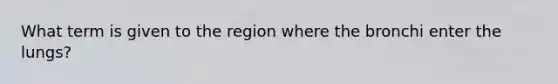 What term is given to the region where the bronchi enter the lungs?