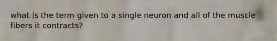 what is the term given to a single neuron and all of the muscle fibers it contracts?