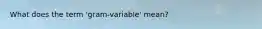 What does the term 'gram-variable' mean?