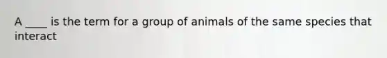 A ____ is the term for a group of animals of the same species that interact