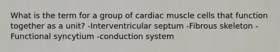 What is the term for a group of cardiac muscle cells that function together as a unit? -Interventricular septum -Fibrous skeleton -Functional syncytium -conduction system