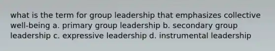 what is the term for group leadership that emphasizes collective well-being a. primary group leadership b. secondary group leadership c. expressive leadership d. instrumental leadership