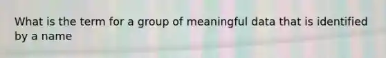 What is the term for a group of meaningful data that is identified by a name