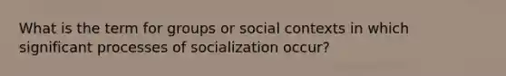 What is the term for groups or social contexts in which significant processes of socialization occur?