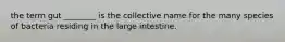 the term gut ________ is the collective name for the many species of bacteria residing in the large intestine.