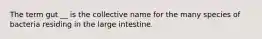 The term gut __ is the collective name for the many species of bacteria residing in the large intestine.