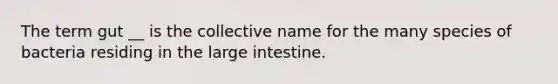 The term gut __ is the collective name for the many species of bacteria residing in the large intestine.