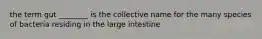 the term gut ________ is the collective name for the many species of bacteria residing in the large intestine