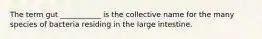 The term gut ___________ is the collective name for the many species of bacteria residing in the large intestine.