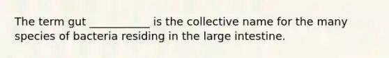 The term gut ___________ is the collective name for the many species of bacteria residing in the large intestine.