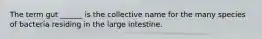 The term gut ______ is the collective name for the many species of bacteria residing in the large intestine.