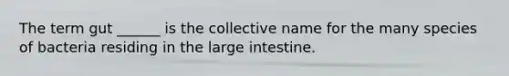 The term gut ______ is the collective name for the many species of bacteria residing in the large intestine.