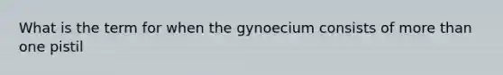 What is the term for when the gynoecium consists of more than one pistil