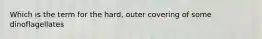 Which is the term for the hard, outer covering of some dinoflagellates