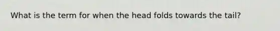 What is the term for when the head folds towards the tail?