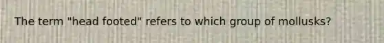 The term "head footed" refers to which group of mollusks?