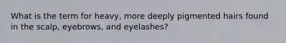 What is the term for heavy, more deeply pigmented hairs found in the scalp, eyebrows, and eyelashes?