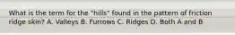 What is the term for the "hills" found in the pattern of friction ridge skin? A. Valleys B. Furrows C. Ridges D. Both A and B